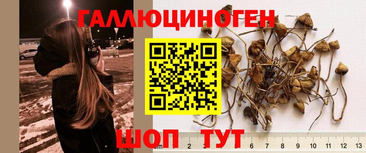 Галлюциногенные грибы ЛСД  Вход с VPN  Асино 
