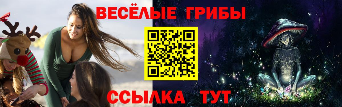 Псилоцибиновые грибы Magic Shrooms Асино